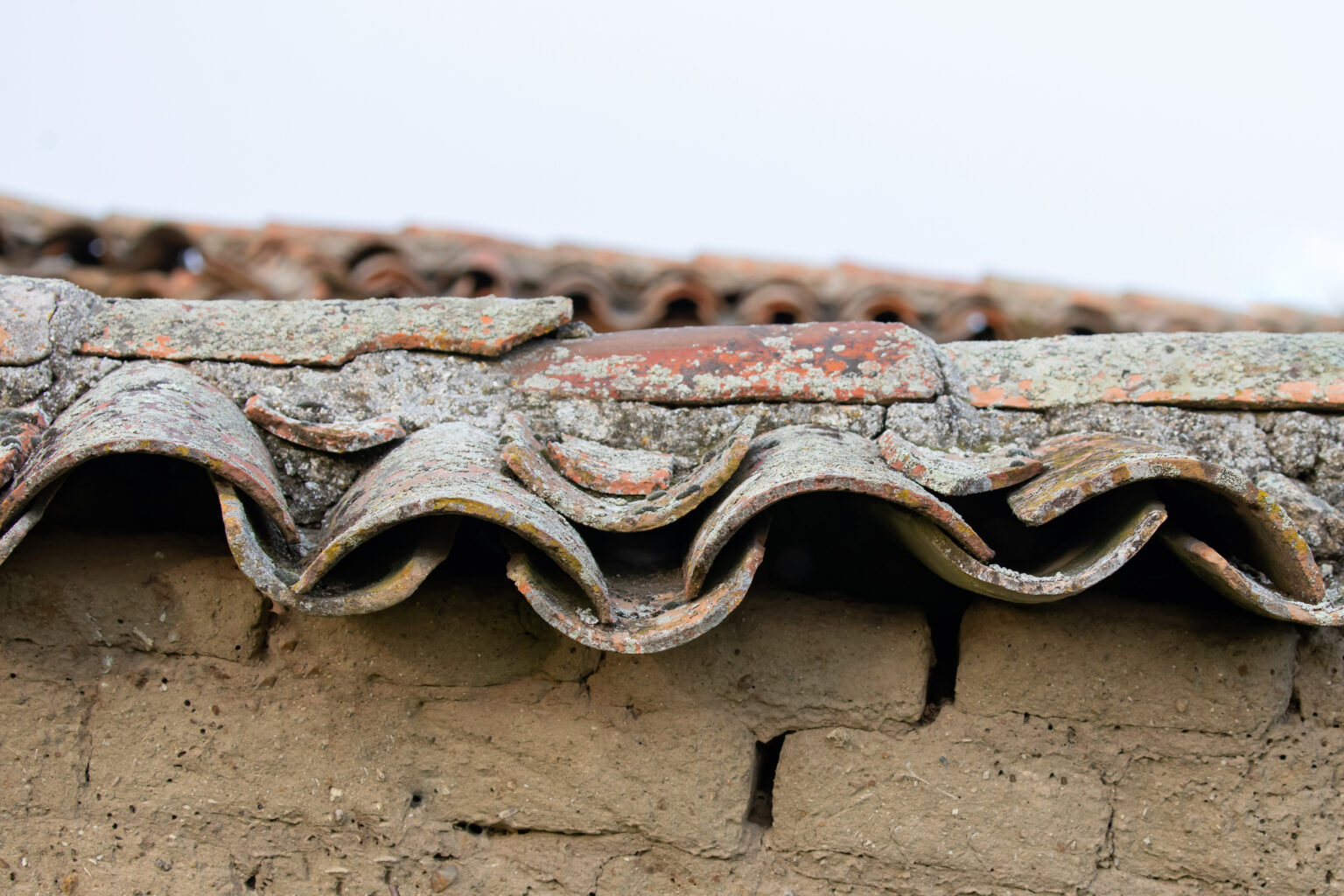 Odświeżanie dachówek betonowych i ceramicznych – techniki i produkty